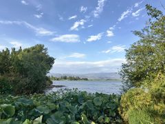 -西昌邛海湿地