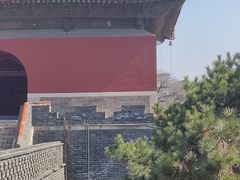 -北陵公园