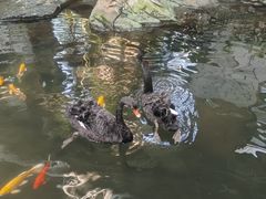 -南宫五洲植物乐园