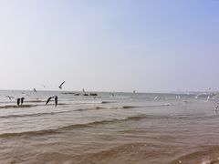 -老虎石海上公园