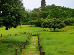 -红花山公园