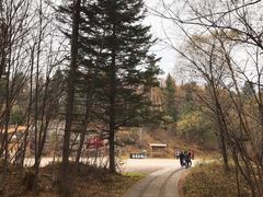 -五营红松林海景区