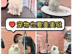 -FAELING PETS美天灵宠物(合生汇店)