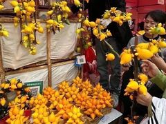 -越秀西湖花市(广州城市广场花卉店)