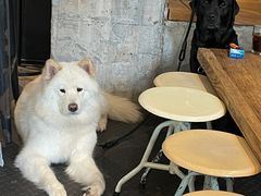 -来回·咖啡(天河南店)