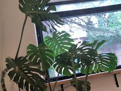 -小意思咖啡店(草桥店)