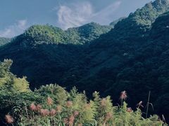-宁波五龙潭景区
