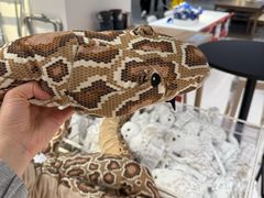 -宜家家居(四元桥商场店)