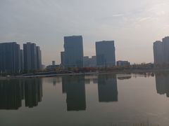 -金沙湖公园