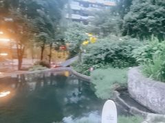 -成都市活水公园