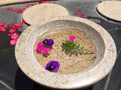 -碧水湾温泉