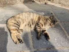 -终南山南五台景区