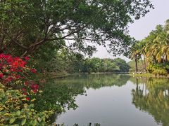 -中国科学院西双版纳热带植物园