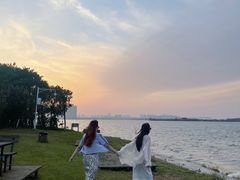 -瑶湖郊野森林公园