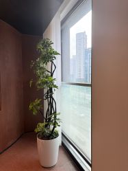 -上海时光整形外科医院