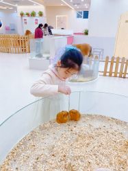 -Moni星球萌宠·小马宝莉·灵蛇·高端高阶全萌宠互动体验俱乐部(红豆国际广场店)