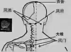-香薇妮丝女子减肥院