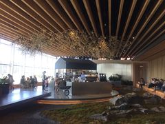 -Seesaw Coffee(朝阳大悦城店)