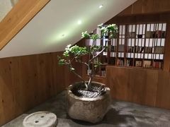 -无味舒食(环岛路店)