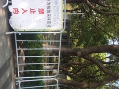 -中央公园(苏州工业园区)
