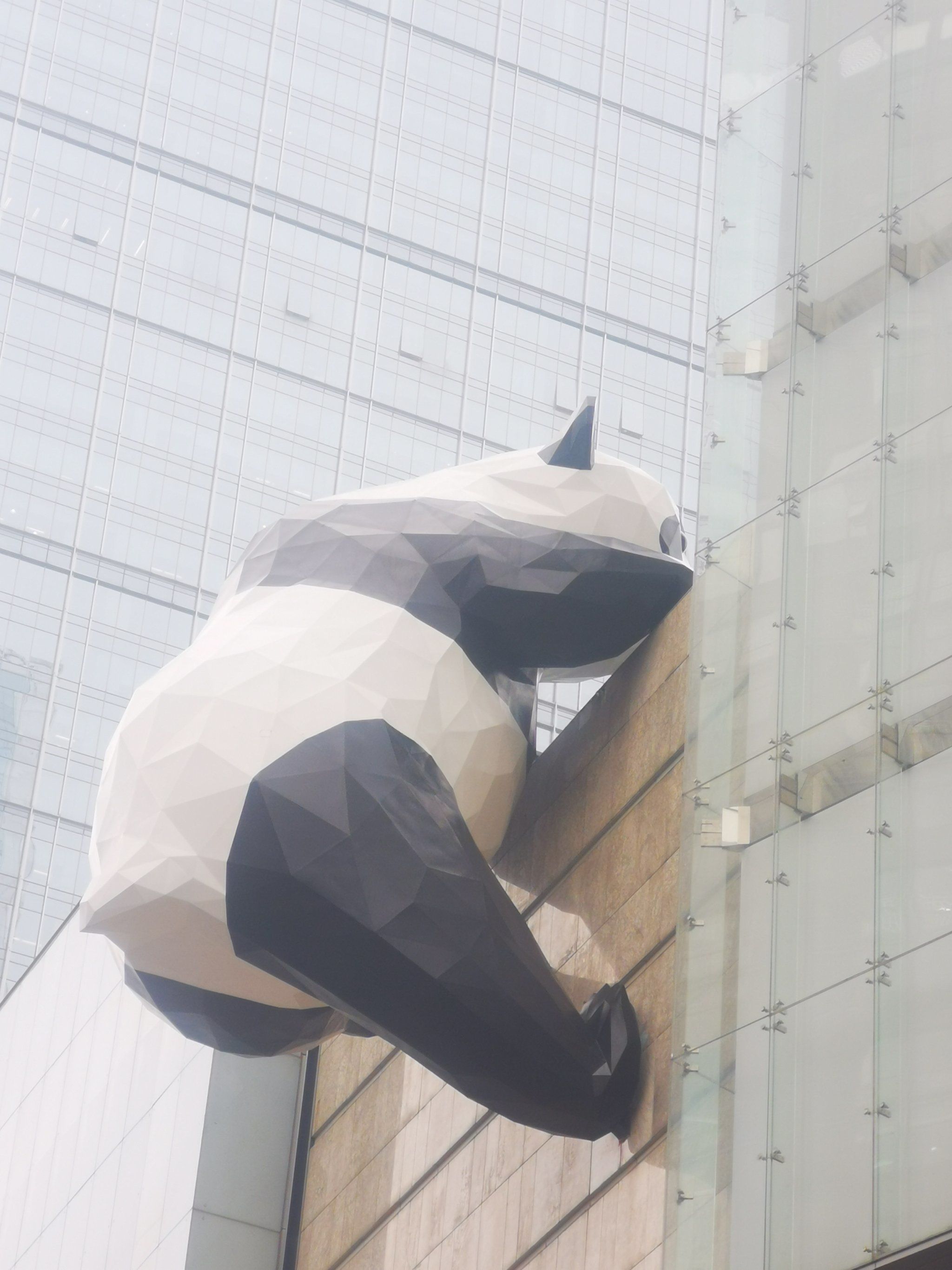 成都的熊猫满墙爬