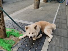 -安福路