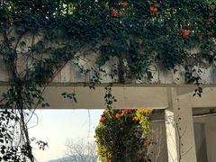 -求水山公园