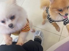 -怪兽屋·羊驼·猫咖·狗咖(俊华广场店)