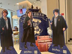 -金茂览秀城