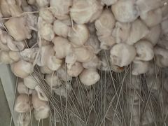 鱿鱼牙-永安烧烤