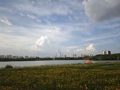 -海珠湖公园
