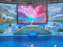 -海合安成都极地海洋公园