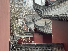 -长春观