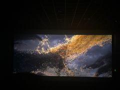 -汉阳天河电影城(王家湾店)