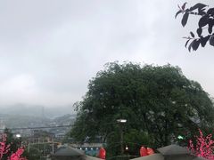 -枇杷园食为鲜火锅(南山店)