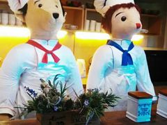 -济州岛泰迪熊博物馆