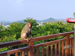 -鹿回头风景区
