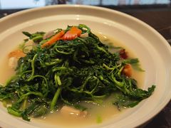 -沈灶河豚宴·河豚融合餐厅(汉中路店)