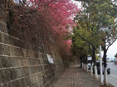 -苍山感通索道
