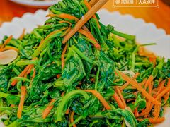 青炒豆苗-腾冲国萍农家乐