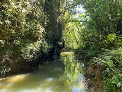 -怀托摩萤火虫洞