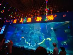 -辛玛王国游乐园