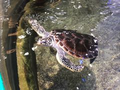 -鸿通城购物中心