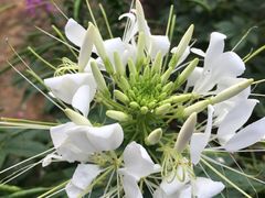 -艾溪湖湿地公园