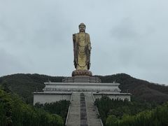 -中原大佛景区
