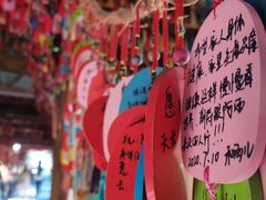 -野象谷景区
