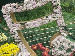 -杭州植物园