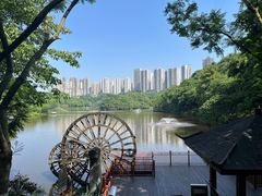 -重庆彩云湖湿地公园