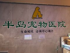 -半岛宠物医院24小时(科华中路店)