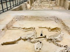 -洛阳周王城天子驾六博物馆